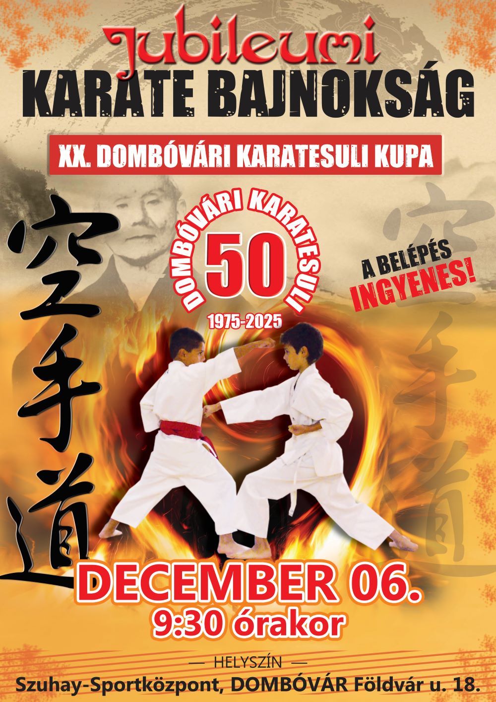 XX. DOMBÓVÁRI KARATESULI KUPA